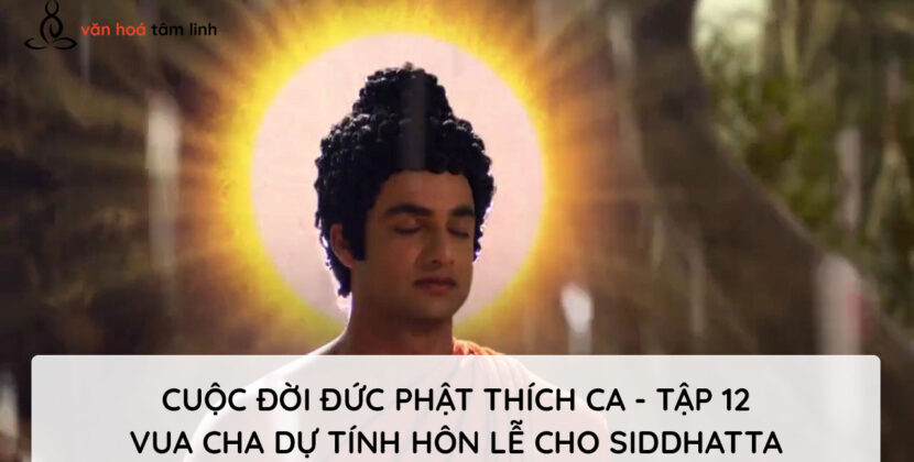 Bộ phim Cuộc Đời Đức Phật Thích Ca Tập – 12 Vua cha dự tính hôn lễ cho Siddhatta